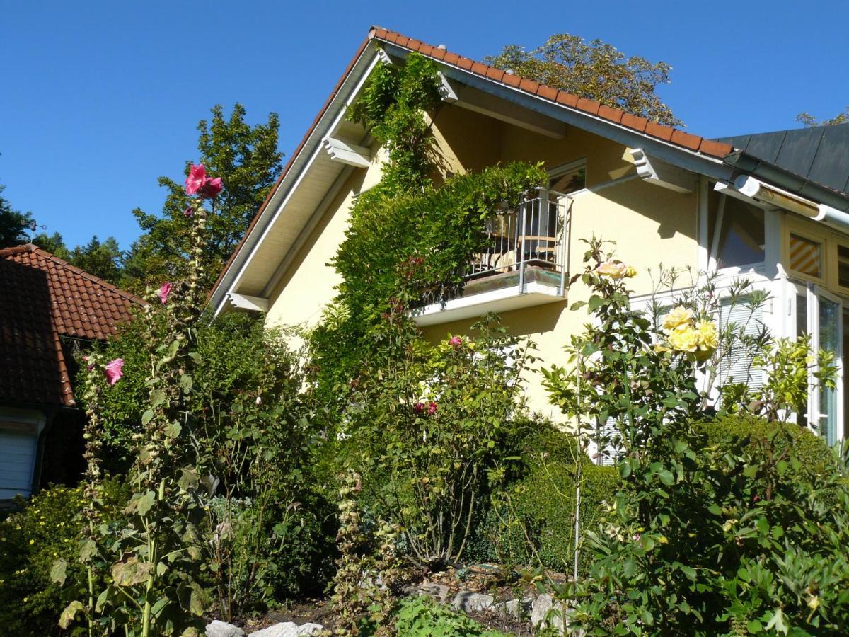 Haus Ahorn Apartment บัดเดอร์ไฮม์ ภายนอก รูปภาพ
